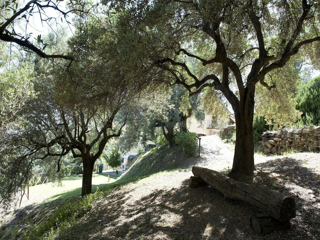 Villa Bernadette San Mauro Cilento Exterior foto